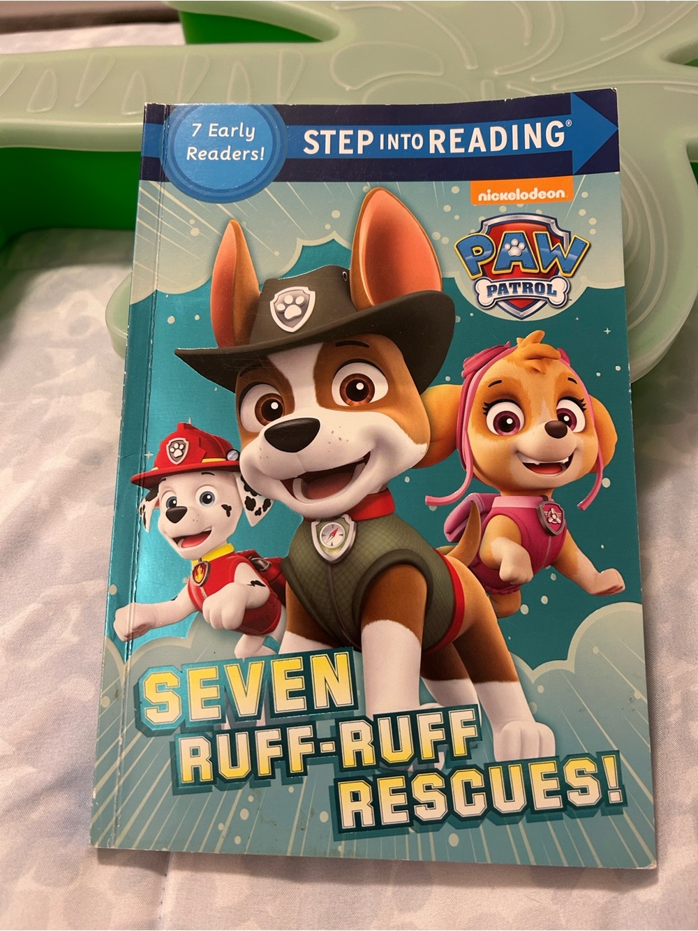 Paw Patrol Book — Teal Blue Cover with Multicolor Characters
